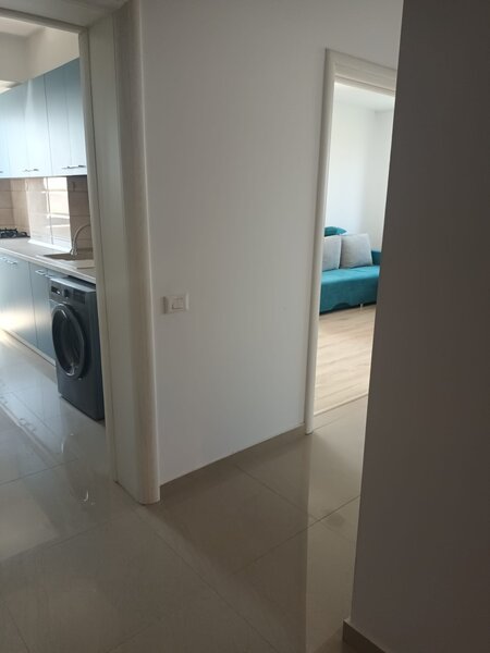 Brancusi Prelungirea Ghencea