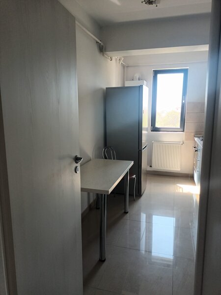 Brancusi Prelungirea Ghencea