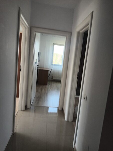 Brancusi Prelungirea Ghencea