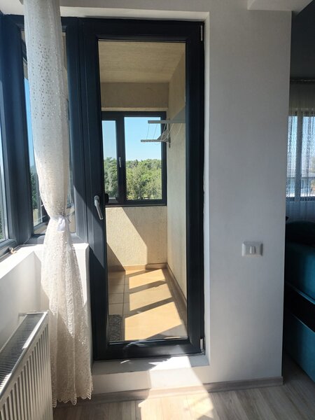 Brancusi Prelungirea Ghencea