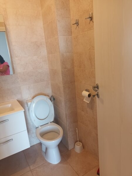 Brancusi Prelungirea Ghencea