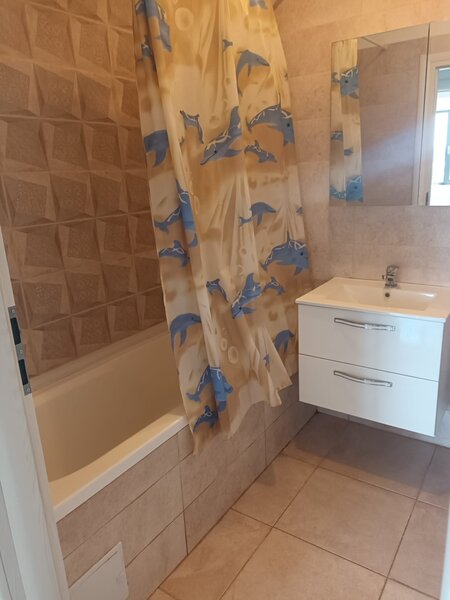 Brancusi Prelungirea Ghencea