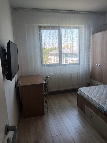 Brancusi Prelungirea Ghencea