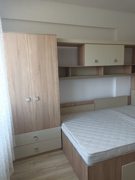 Brancusi Prelungirea Ghencea