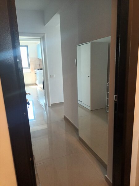 Brancusi Prelungirea Ghencea