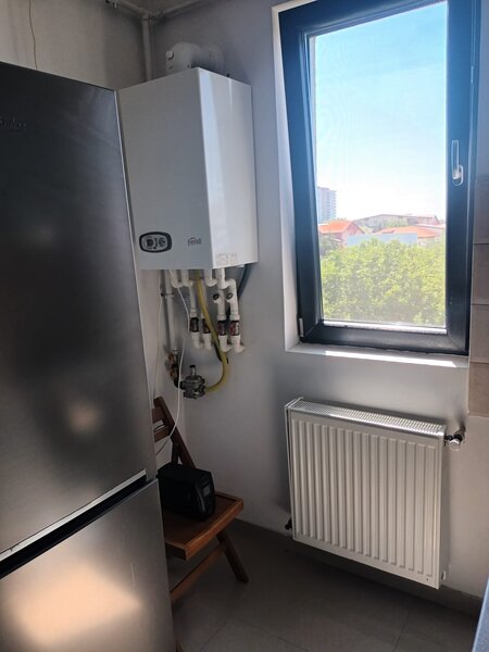 Brancusi Prelungirea Ghencea