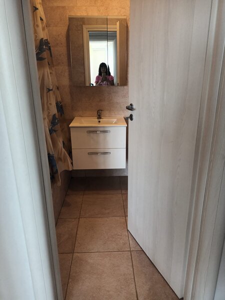 Brancusi Prelungirea Ghencea