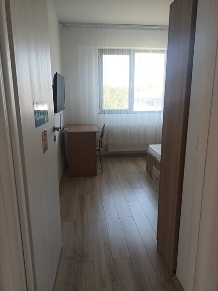 Brancusi Prelungirea Ghencea