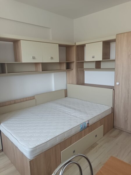 Brancusi Prelungirea Ghencea