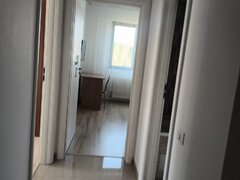 Brancusi Prelungirea Ghencea